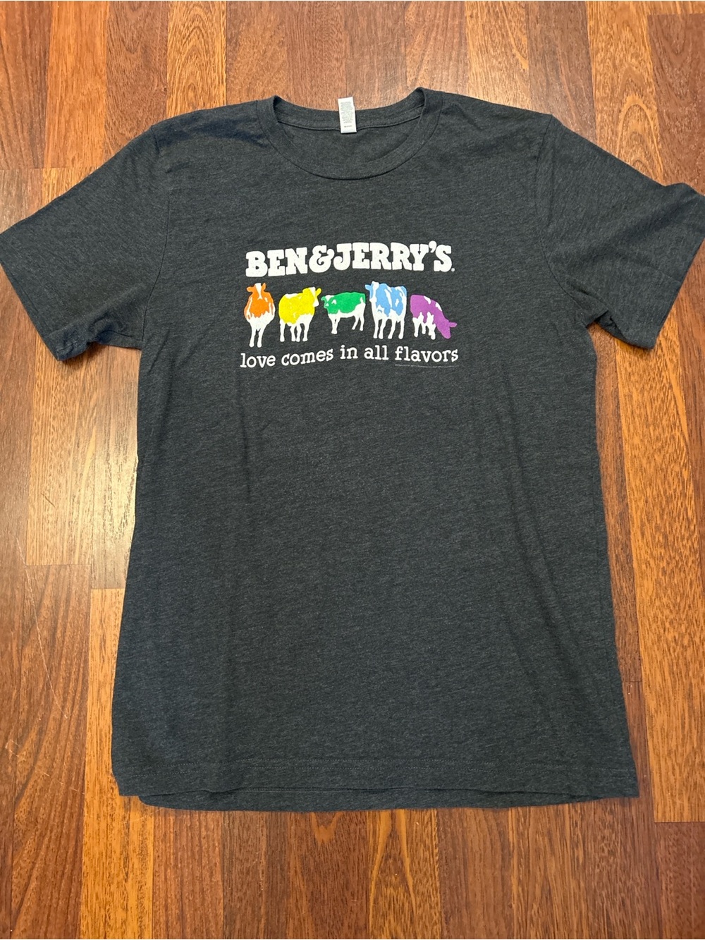 Ben & Jerry's Rainbow Cow Graphic Ice Cream Gray Tshirt Size Medium
